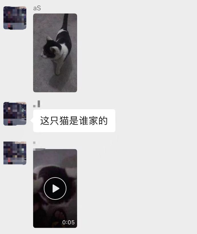 聊天截图