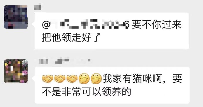 聊天截图